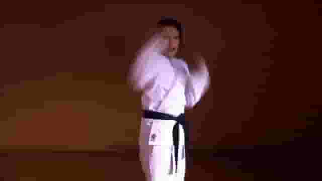 Oh hey Karate Kid. The Hilary Swank version.