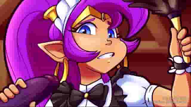 Shantae Animated (Biffalo + Beachside Bunnies) [Shantae Half Genie Hero]