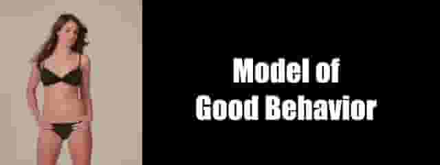 Model of Good Behavior