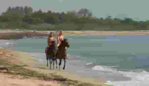 Two Lady Godiva's bouncing along the beach