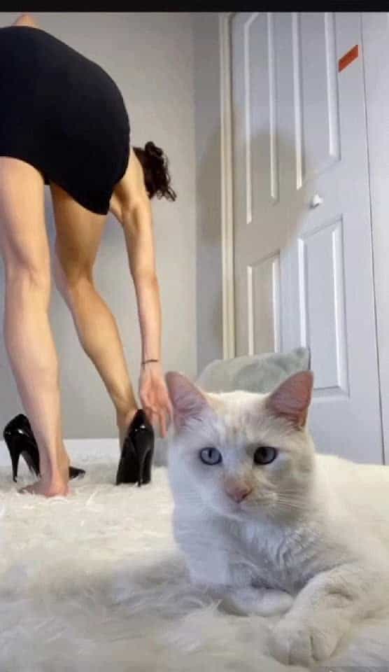 High heels are the cat's meow (44F)